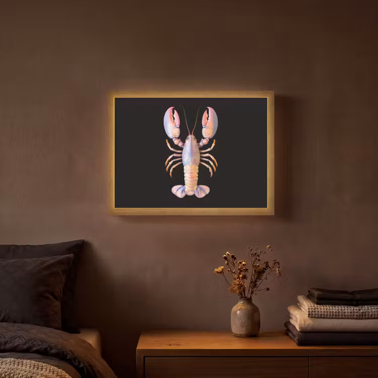 Lightbox - Wandlamp - Kreeft - Roze - Zacht - Zwart — 3