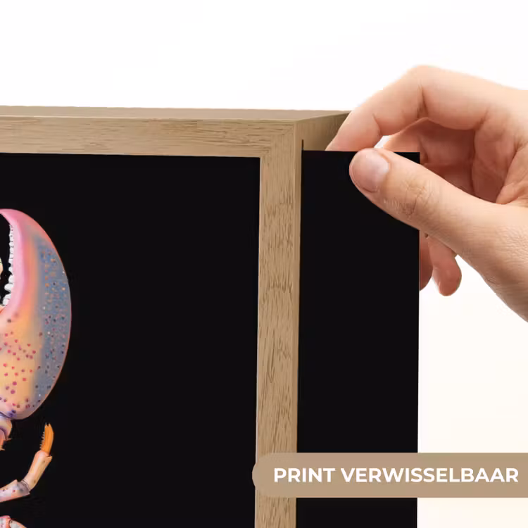 Lightbox - Wandlamp - Kreeft - Roze - Zacht - Zwart — 5