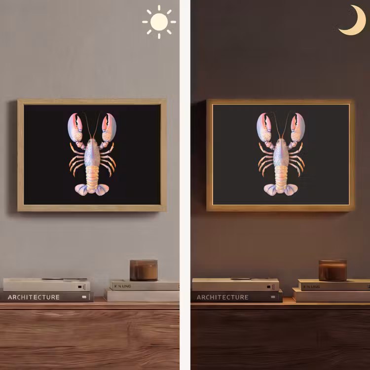 Lightbox - Wandlamp - Kreeft - Roze - Zacht - Zwart — 6