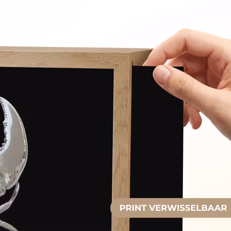 Lightbox - Wandlamp - Kreeft - Zilver - Metallic - Luxe — 5