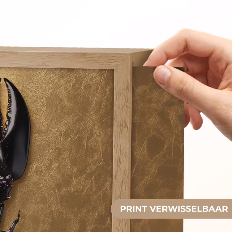 Lightbox - Wandlamp - Kreeft - Zwart - Goud - Luxe — 5