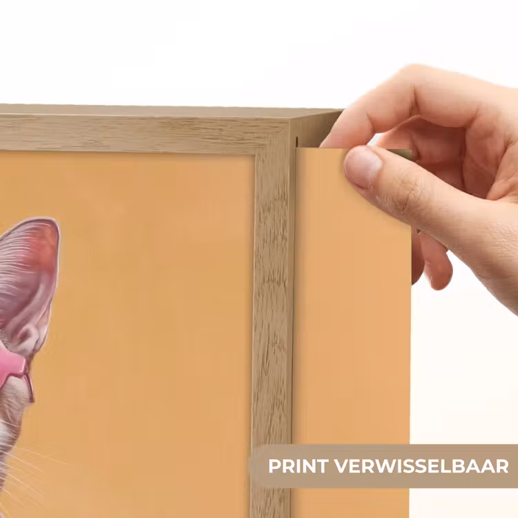 Lightbox - Wandlamp - Zonnebril - Kat - Sjaal - Bloemen — 5