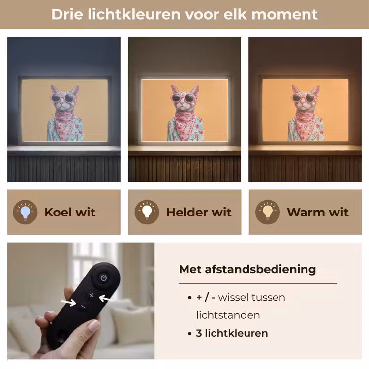 Lightbox - Wandlamp - Zonnebril - Kat - Sjaal - Bloemen — 8
