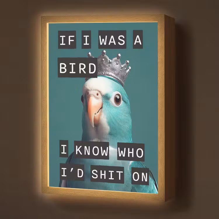 Lightbox - Wandlamp - Parkiet - Turquoise - Quotes - Decoratie — 1