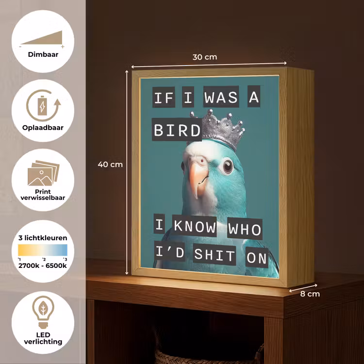 Lightbox - Wandlamp - Parkiet - Turquoise - Quotes - Decoratie — 9