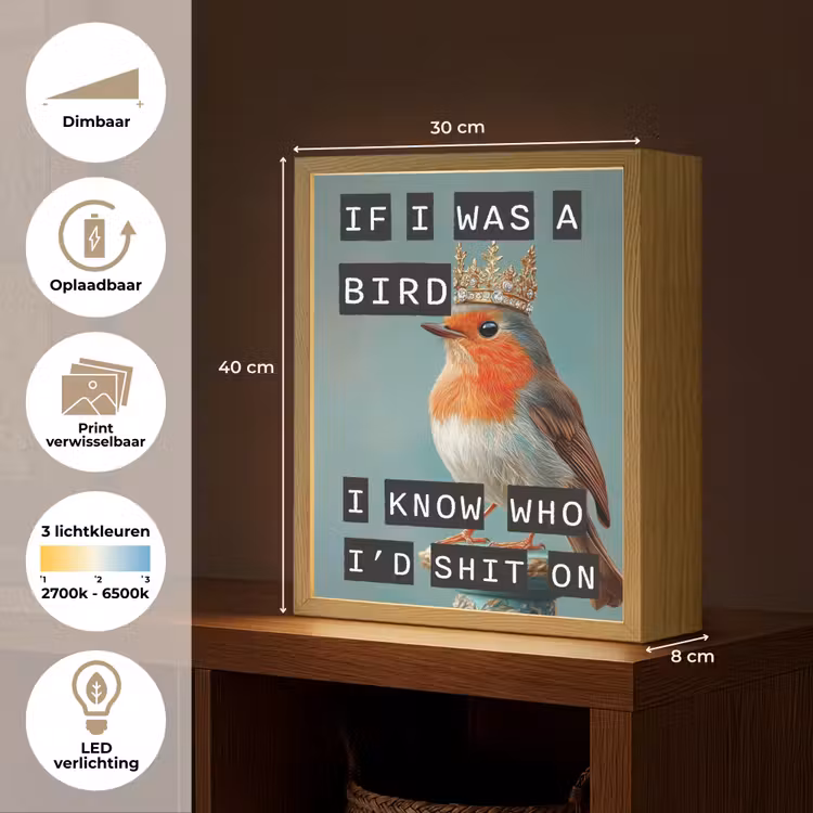 Lightbox - Wandlamp - Roodborstje - Vogel - Blauw - Decoratie — 9