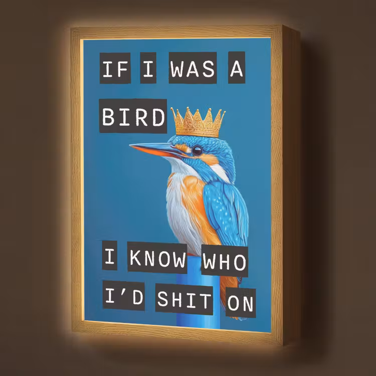 Lightbox - Wandlamp - Vogel - Decoratie - Ijsvogel - Blauw — 1