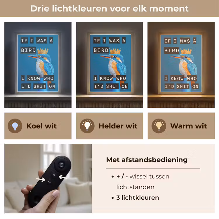 Lightbox - Wandlamp - Vogel - Decoratie - Ijsvogel - Blauw — 7
