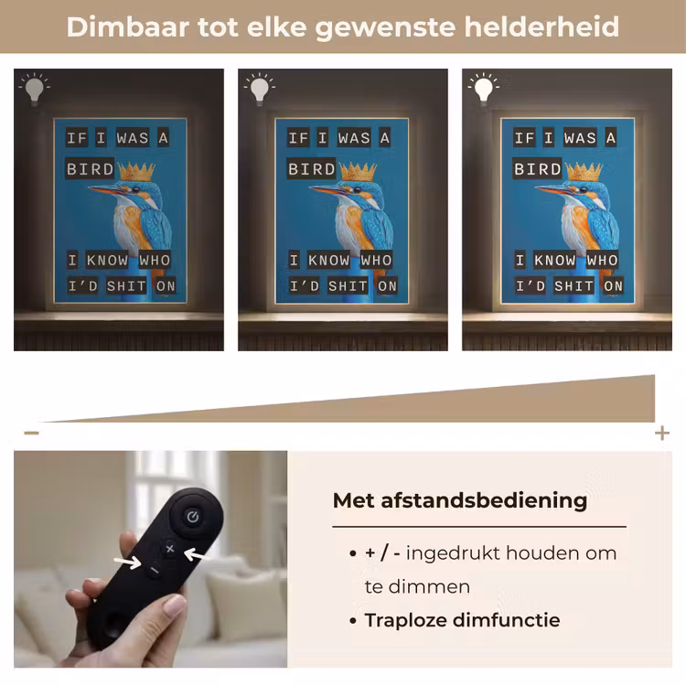 Lightbox - Wandlamp - Vogel - Decoratie - Ijsvogel - Blauw — 8