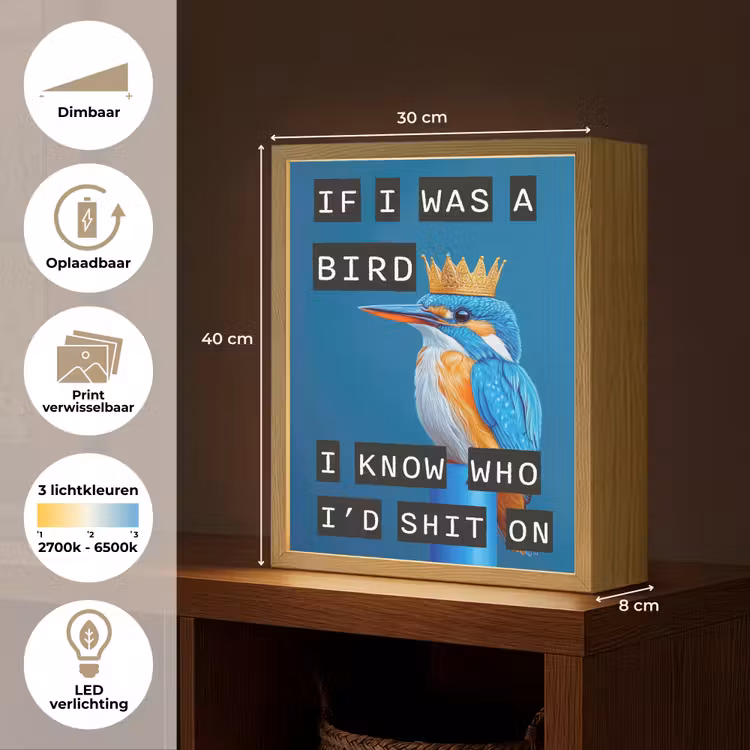 Lightbox - Wandlamp - Vogel - Decoratie - Ijsvogel - Blauw — 9