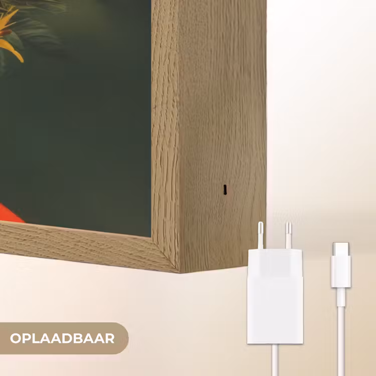 Lightbox - Wandlamp - Vrouw - Vruchten - Papaja - Ananas — 7