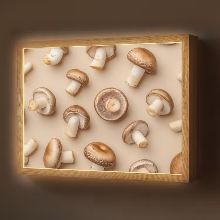 Lightbox - Wandlamp - Kastanje Champignons - Beige — 1