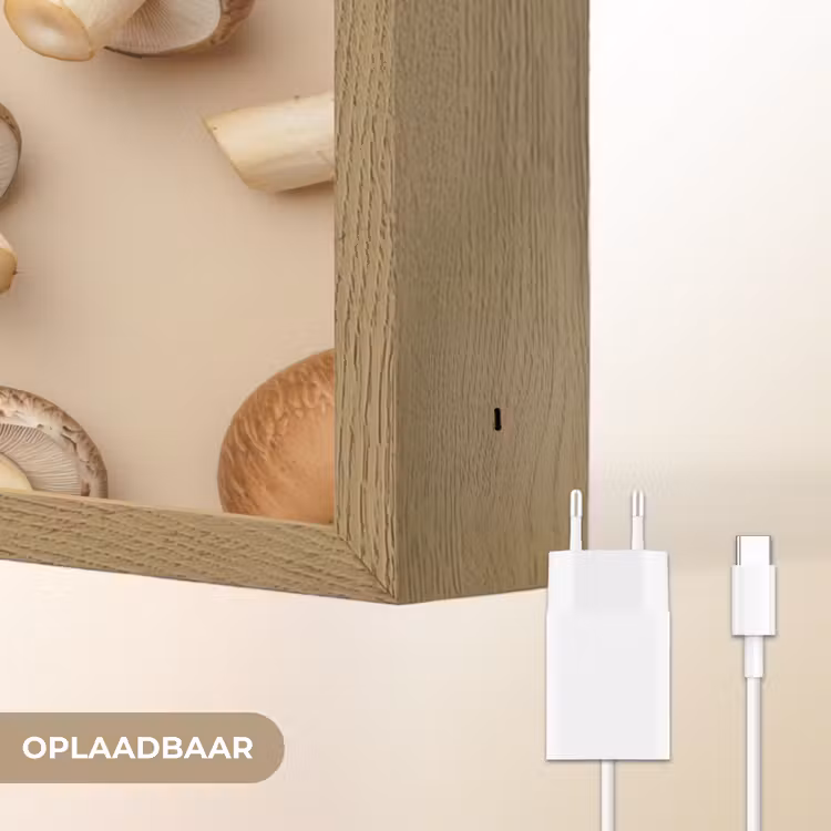 Lightbox - Wandlamp - Kastanje Champignons - Beige — 7