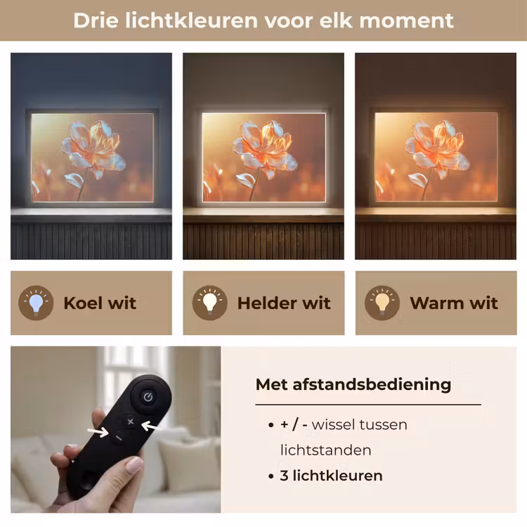 Lightbox - Wandlamp - Glazen - Bloem - Zonlicht — 8