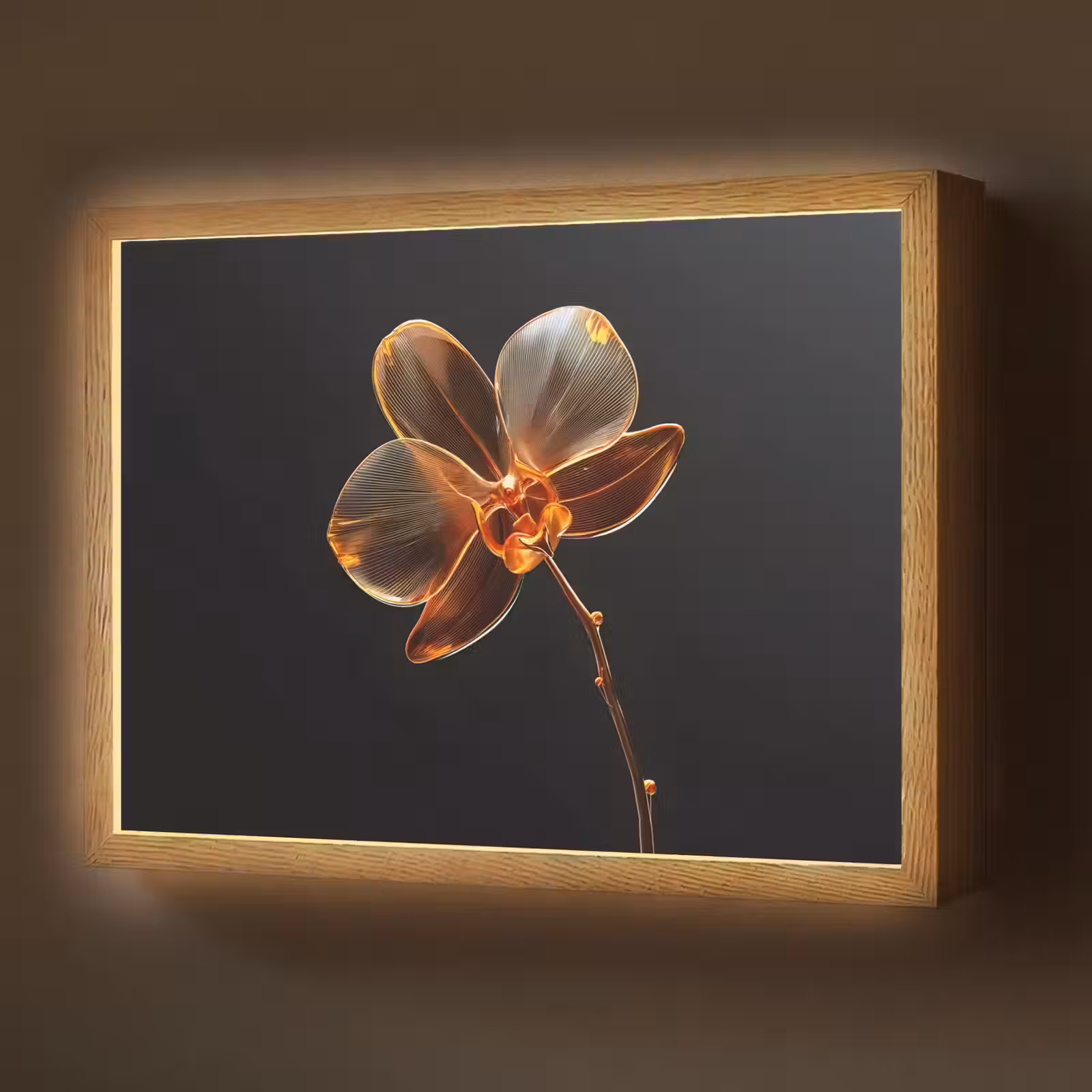 Lightbox - Wandlamp - Orchidee - Doorzichtig - Bloem — 1