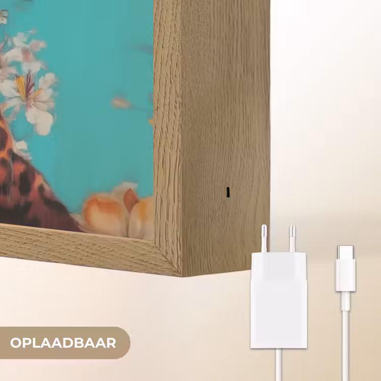Lightbox - Wandlamp - Luipaard - Bloemen - Kroon — 7