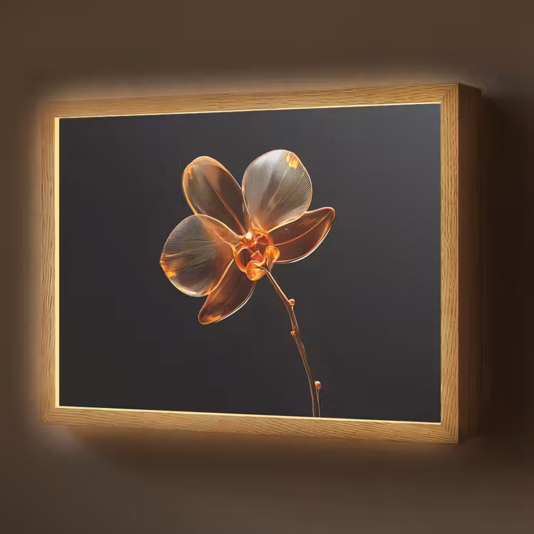Lightbox - Wandlamp - Orchidee - Doorzichtig - Bloem — 1