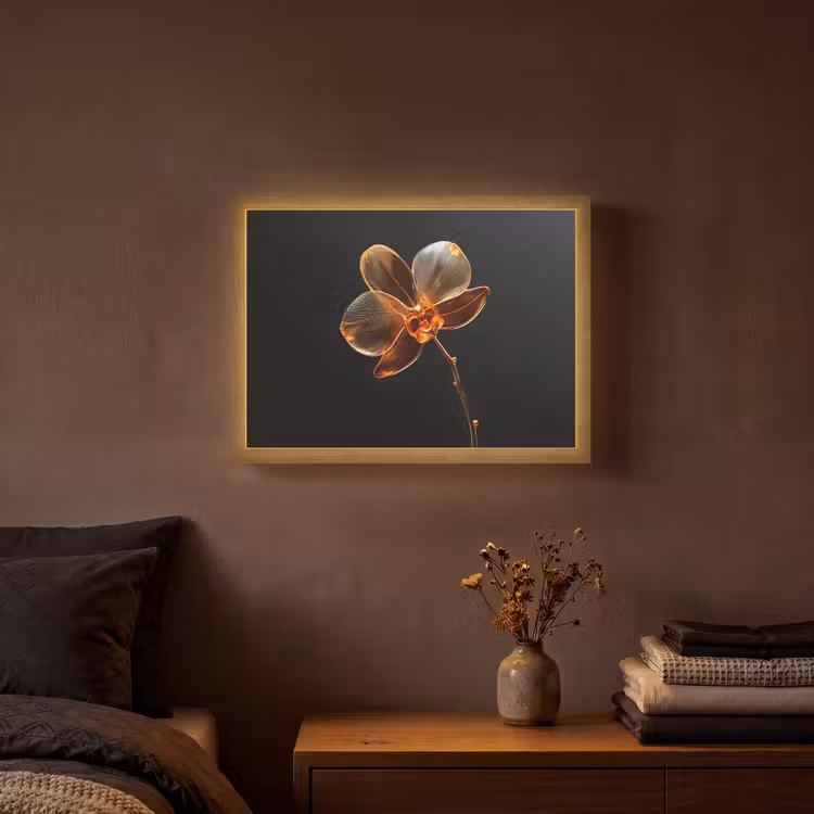 Lightbox - Wandlamp - Orchidee - Doorzichtig - Bloem — 3
