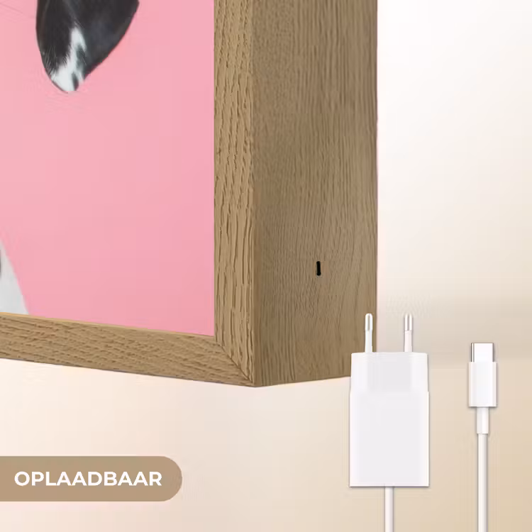 Lightbox - Wandlamp - Hartjes - Hond - Valentijn - Roze — 6