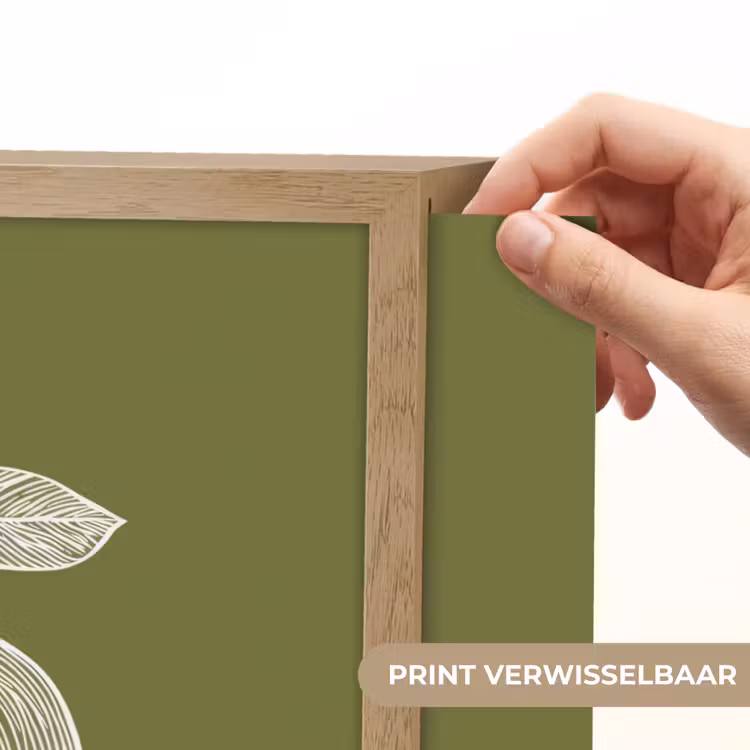 Lightbox - Wandlamp - Lijntekening - Appel - Olijfgroen - Blaadje — 5
