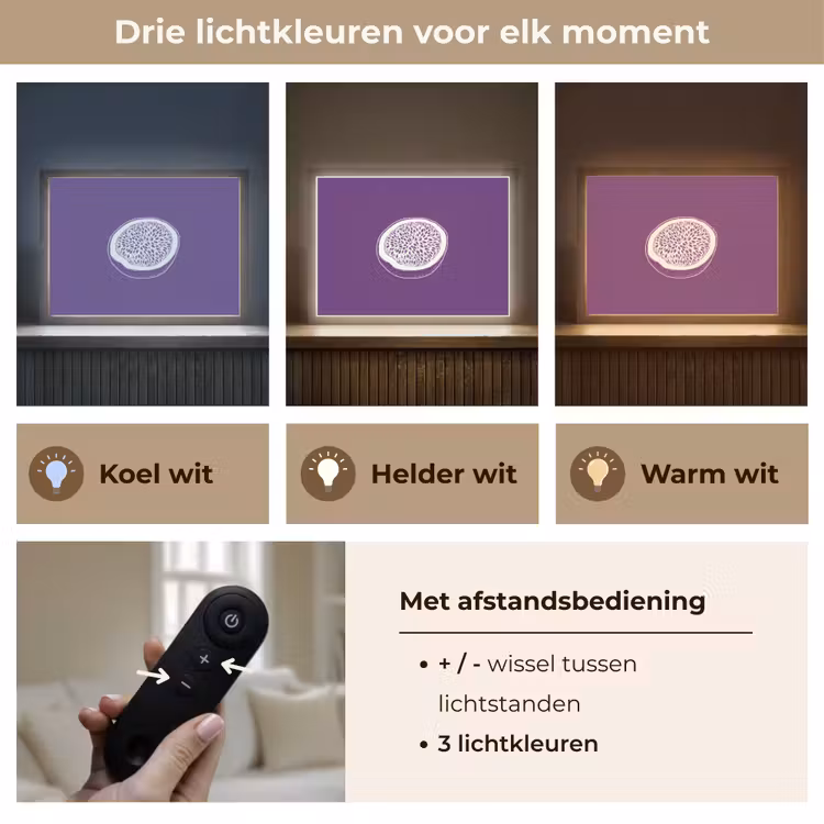 Lightbox - Wandlamp - Passievrucht - Zaadjes - Paars - Minimalistisch — 8