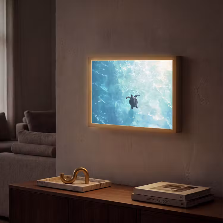 Lightbox - Wandlamp - Schildpad - Zee - Blauw - Schittering — 2