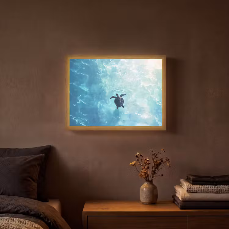 Lightbox - Wandlamp - Schildpad - Zee - Blauw - Schittering — 3