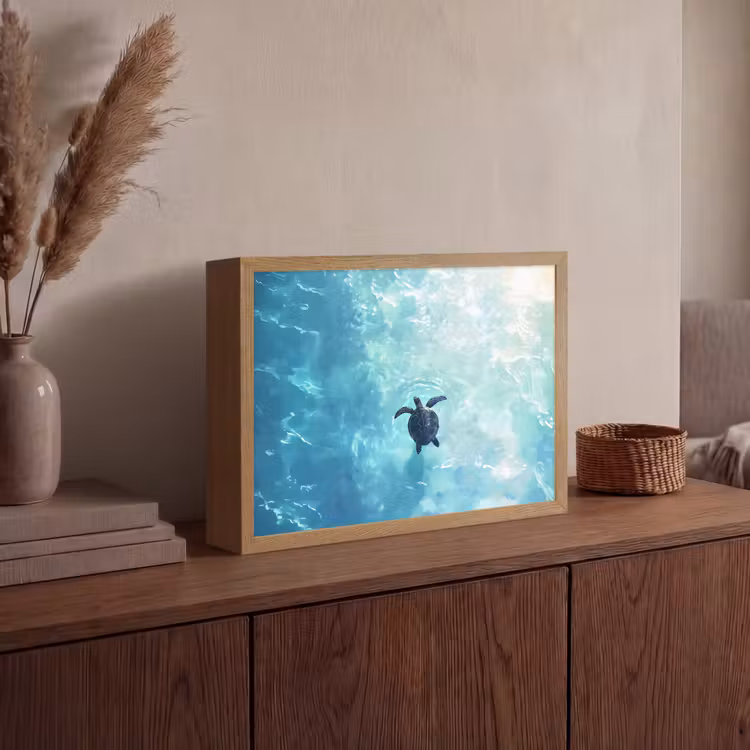 Lightbox - Wandlamp - Schildpad - Zee - Blauw - Schittering — 4