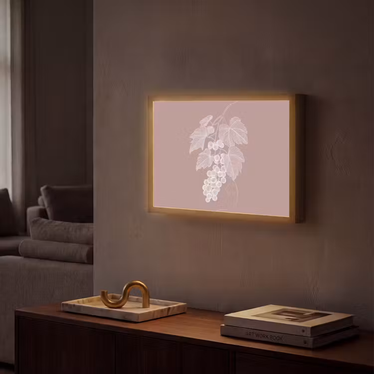 Lightbox - Wandlamp - Tros - Druiven - Illustratie - Bladeren — 2