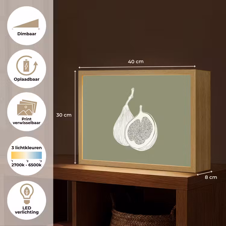 Lightbox - Wandlamp - Vijgen - Minimalistisch - Getekend - Mosgroen — 10