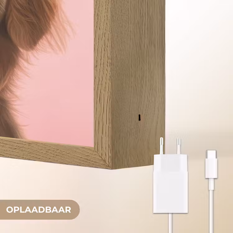 Lightbox - Wandlamp - Zonnebril - Hartjes - Hond - Valentijn — 6