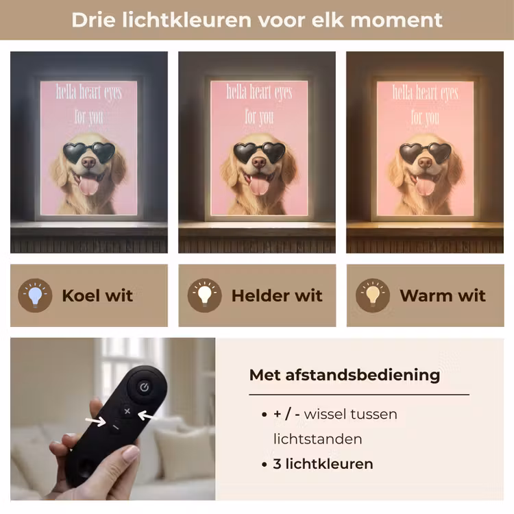Lightbox - Wandlamp - Zonnebril - Hartjes - Hond - Valentijn — 7