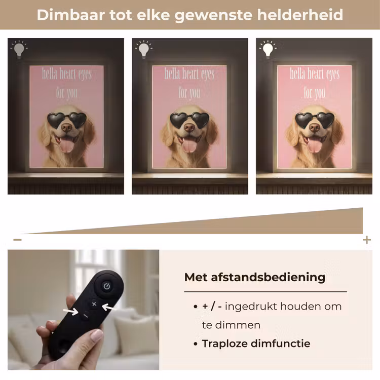 Lightbox - Wandlamp - Zonnebril - Hartjes - Hond - Valentijn — 8