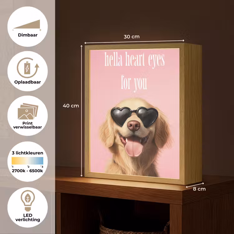 Lightbox - Wandlamp - Zonnebril - Hartjes - Hond - Valentijn — 9