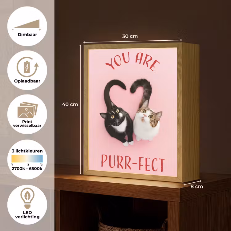Lightbox - Wandlamp - Kat - Hart - Tekst - Valentijn — 9