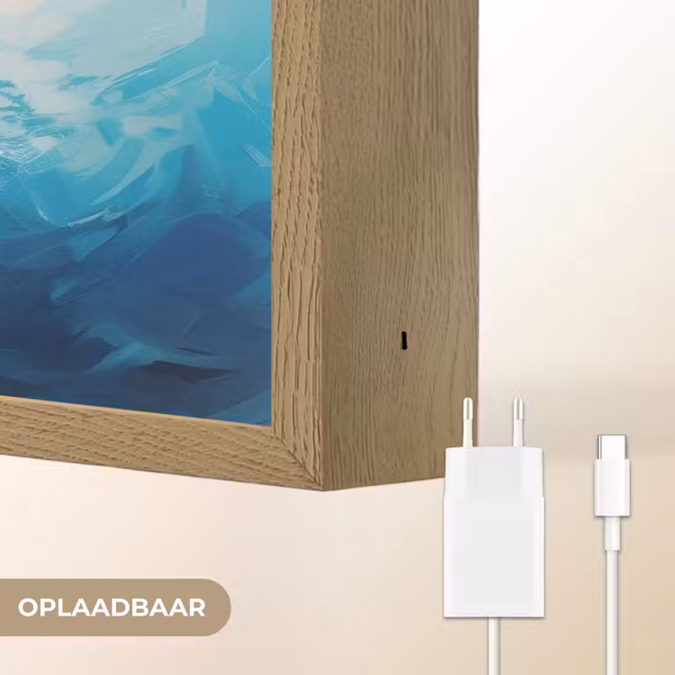 Lightbox - Wandlamp - Zee - Vissen - Kleurrijk - Dynamisch — 7