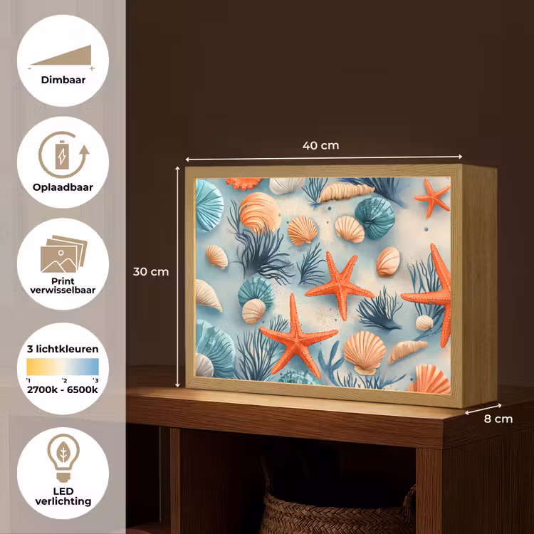 Lightbox - Wandlamp - Zeesterren - Schelpen - Illustratie - Zand — 10