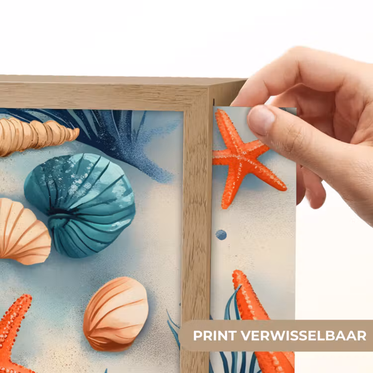 Lightbox - Wandlamp - Zeesterren - Schelpen - Illustratie - Zand — 5