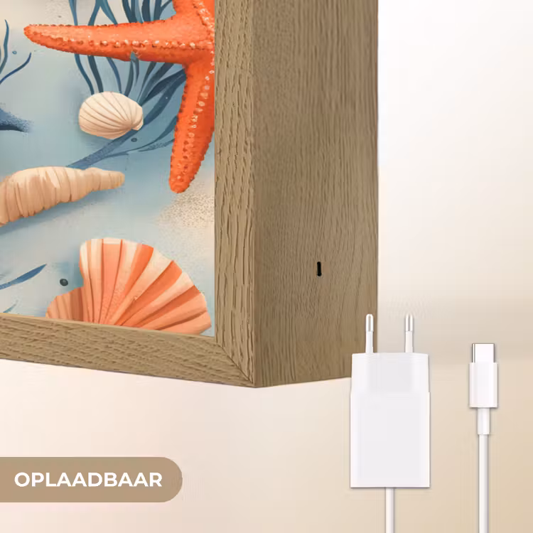 Lightbox - Wandlamp - Zeesterren - Schelpen - Illustratie - Zand — 7