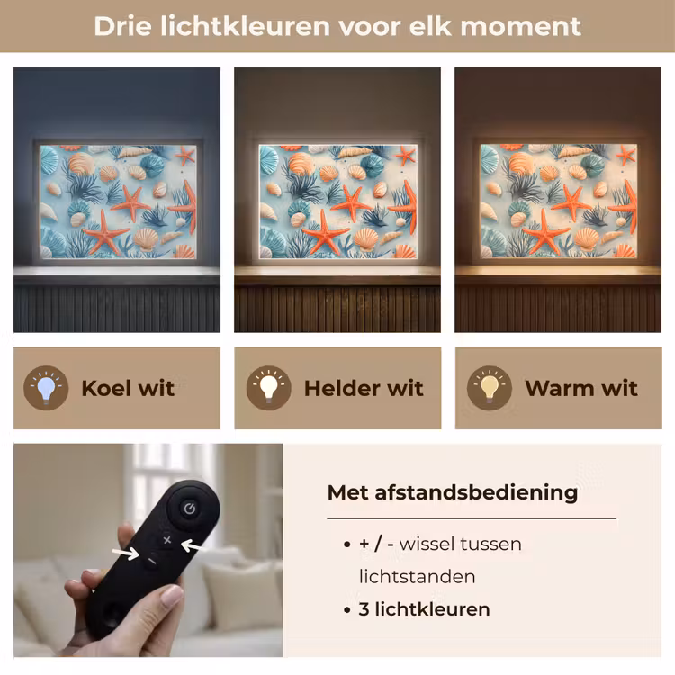 Lightbox - Wandlamp - Zeesterren - Schelpen - Illustratie - Zand — 8