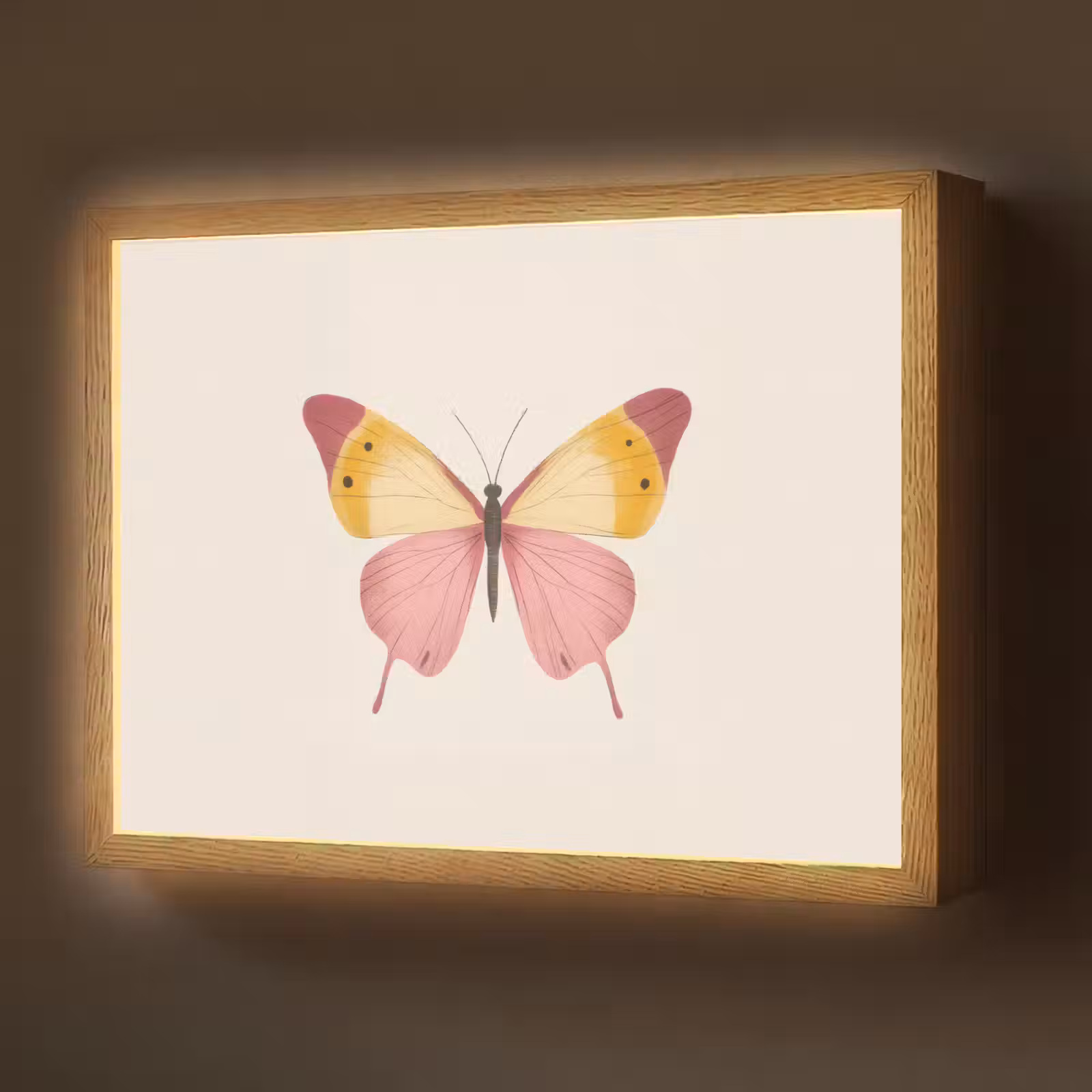 Lightbox - Wandlamp - Vlinder - Illustratie - Roze — 1