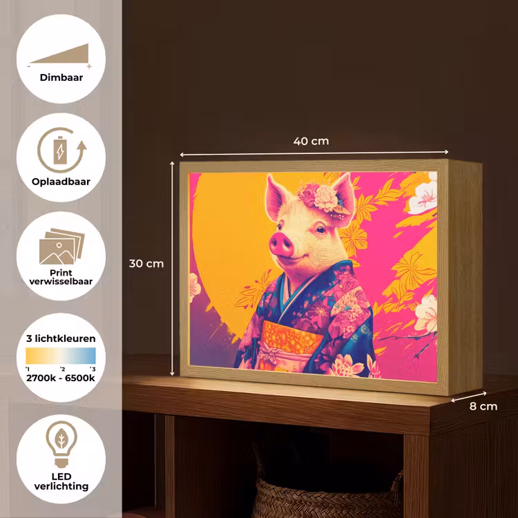 Lightbox - Wandlamp - Varken - Bloemkroon - Kimono - Abstract — 10