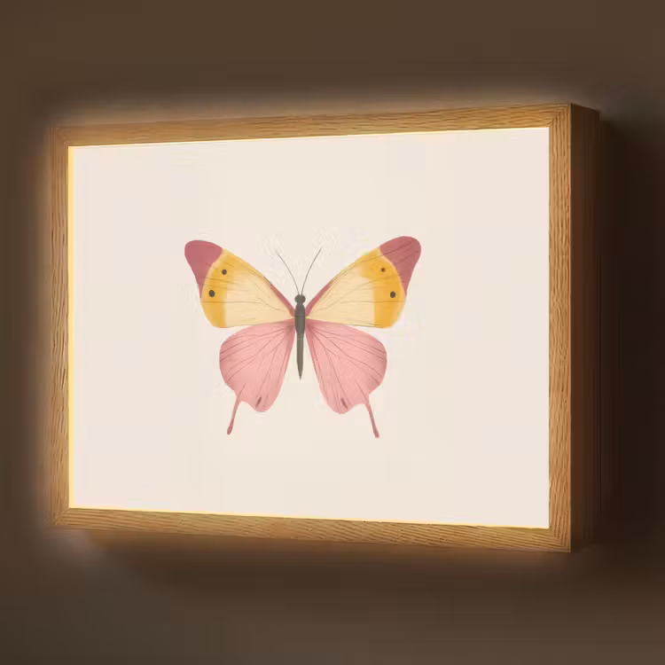 Lightbox - Wandlamp - Vlinder - Illustratie - Roze — 1