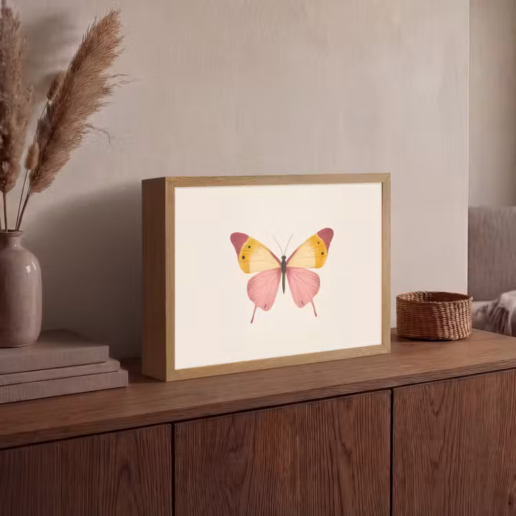 Lightbox - Wandlamp - Vlinder - Illustratie - Roze — 4
