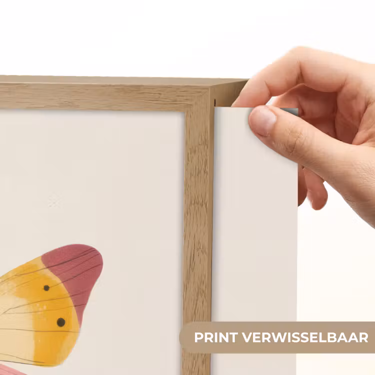 Lightbox - Wandlamp - Vlinder - Illustratie - Roze — 5