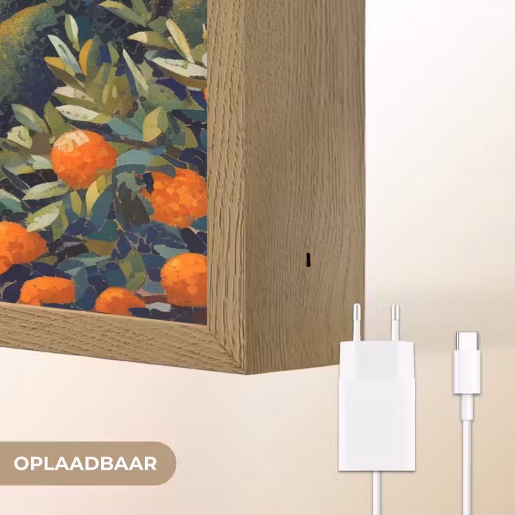 Lightbox - Wandlamp - Huizen - Mozaïek - Sinaasappelbomen - Zee — 7