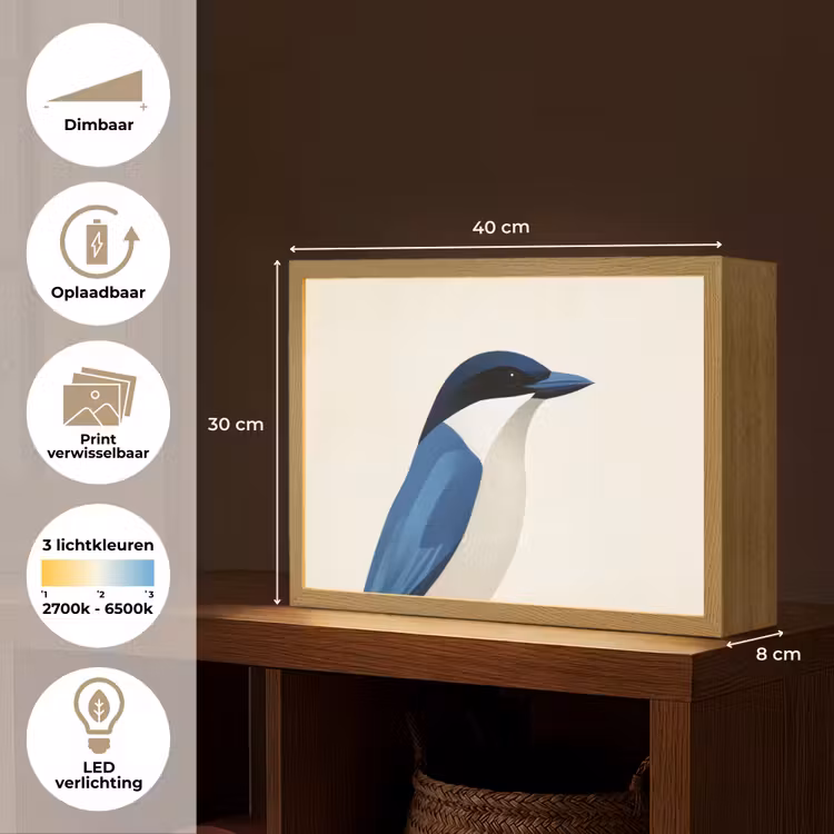 Lightbox - Wandlamp - Illustratie - Blauw - Vogel — 10