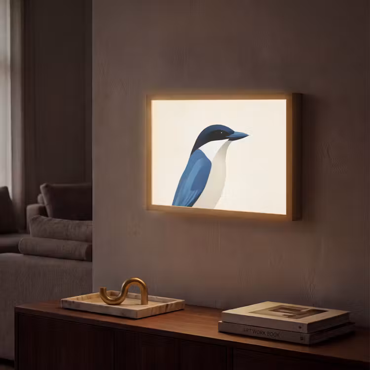 Lightbox - Wandlamp - Illustratie - Blauw - Vogel — 2