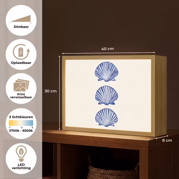 Lightbox - Wandlamp - Schelpen - Blauw - Patroon — 10
