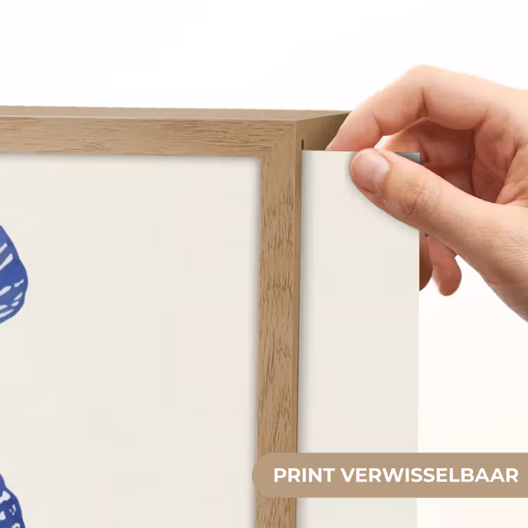 Lightbox - Wandlamp - Schelpen - Blauw - Patroon — 5